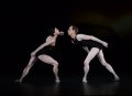 Natalia Osipova and Edward Watson in Zeitgeist