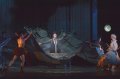 Jasmin Dunham - The Fairy Godmother