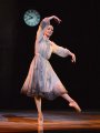 Cinderella - Amber Scott