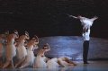 Prince Siegfried, Odette and swans