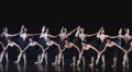 Black swans