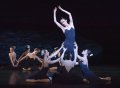 208 - Amber Scott and swans