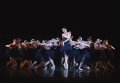 219 - Amber Scott and swans