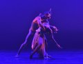 Bottom - Jose Alves and Titania - Cira Robinson