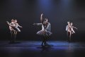 Members of the company