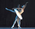 Alexander Volchkov - Prince Siegfried and Svetlana Zakharova - Odette