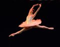 Marianela Nunez in Don Quixote Pas de Deux