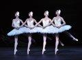 Cygnets - Kei Akahoshi, Desiree Balantyne, Jennie Harrington and Anjuli Hudson