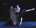 Rothbart - Fabian Reimair and Odile - Anais Chalendard