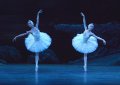 Jia Zhang and Ksenia Osvyanick - Lead Swans