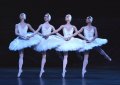 The Cygnets - Anjuli Hudson, Katja Khanuikova, Senri Kou and Crystal Costa