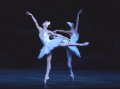 Ksenia Ovsyanick and Jia Zhang - Lead Swans