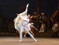 Yonah Acosta - Franz and Shiori Kase - Swanilda