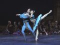 Vadim Muntagirov - Conrad and Alina Cojocaru - Medora