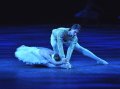 Odette - Daria Klimentova and Prince Siegfried - Vadim Muntagirov