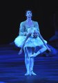 Prince Siegfried - Vadim Muntagirov and Odette - Daria Klimentova