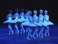 Shiori Kase, Anjuli Hudson, Jem Choi and Nancy Osbaldeston - The Cygnets