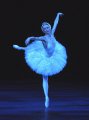 Odette - Daria Klimentova
