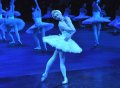 Odette - Daria Klimentova and Swans in Act II