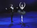 Vadim Muntagirov - Prince Siegfried and Odile - Daria Klimentova