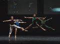 National Youth Dance Company Alumni in Forest Revisited