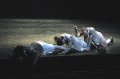 Charlote Broom, Clemmie Sveaas and Christopher Akrill in Studies in M - Choreographer: Javier de Frutos