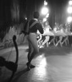 RC 561 - Swan Lake
