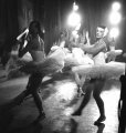 RC 563 - Swan Lake