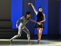 Stephan Bourgond - The Prince and April Ball - Black Swan