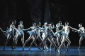 April Ball - Black Swan and The Chimeras