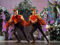 Kieran Curtin as The Robin and Lily OReagan as Mrs Robin