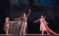 Timur Askarov - Titanias Cavalier and Titania - Vicktoria Tereshkina