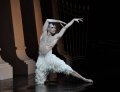 Jonathan Ollivier - The Swan