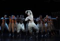 Jonathan Ollivier - The Swan and Swans