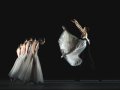 Artists of the Mikhailovsky Ballet