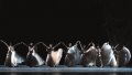 Artists of the Mikhailovsky Ballet