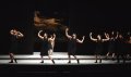 The company in Schmetterling