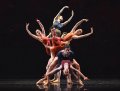 The company in Valentino Zucchetis Orbital Motion