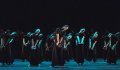NYDC in The Rashomon Effect