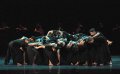 NYDC in The Rashomon Effect