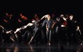 NYDC in The Rashomon Effect