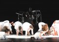 National Youth Dance Company - Tarantiseismic