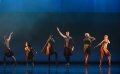The company in Shobana Jeyasinghs Terra Incognita