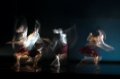 The company in Shobana Jeyasinghs Terra Incognita