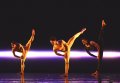 Pierre Tappon, Dane Hurst and Adam Park in Mark Baldwins The Strange Charm of Mother Nature