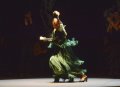 Sara Baras in Voces, Suite Flamenca