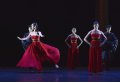 Artists of the Shanghai Ballet