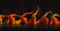 Artists of the Shanghai Ballet