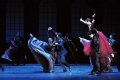 Artists of the Shanghai Ballet