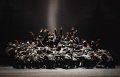 Student dancers from London Contemporary Dance School and Central School of Ballet in Crystal Pites Polaris